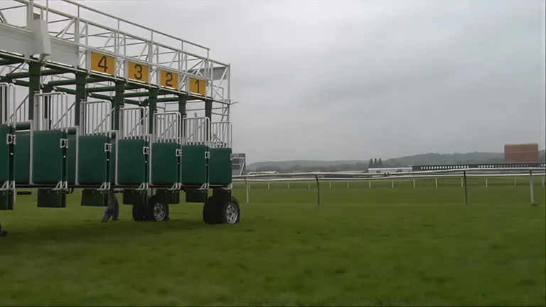 British Horseracing Grinds to a Halt: A Wild Protest Against a Tax Hike
